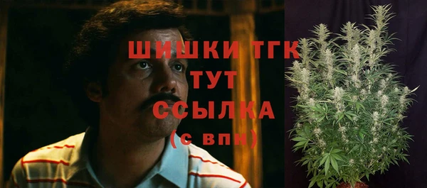 спиды Покровск