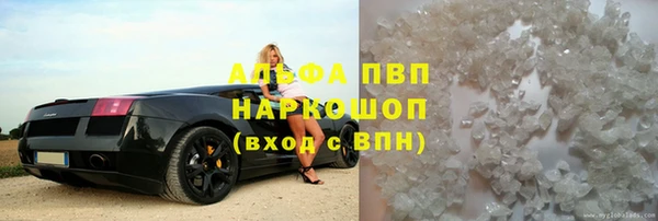 СК Покачи