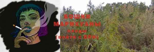 СК Покачи